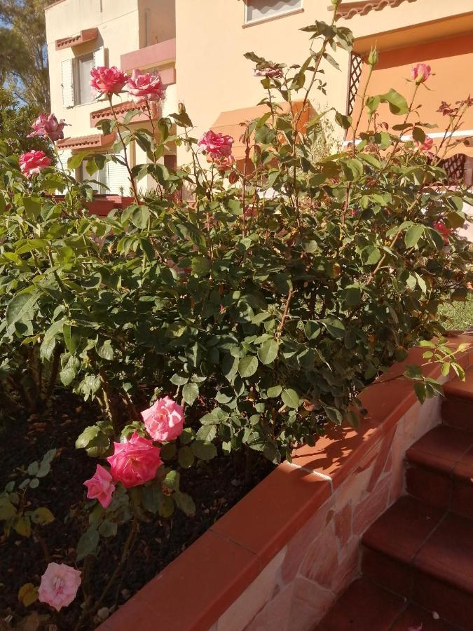 Domomea Hotel Quartu Sant'Elena Bagian luar foto